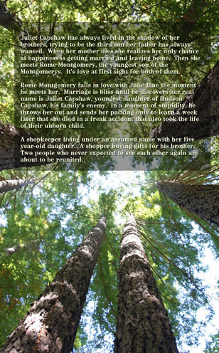 Bride Lottery Fairytales 11 Rome and Juliet by Caty Callahan, Sweet romances with a fairytale twist