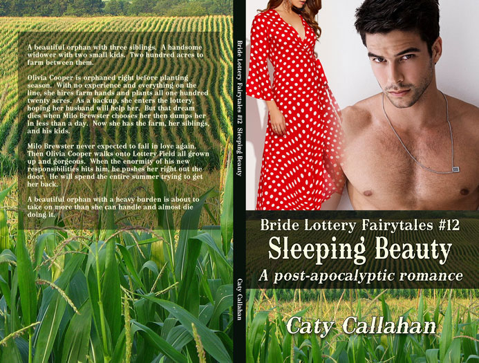 Bride Lottery Fairytales 12 Sleeping Beauty by Caty Callahan | Sweet romances with a fairytale twist